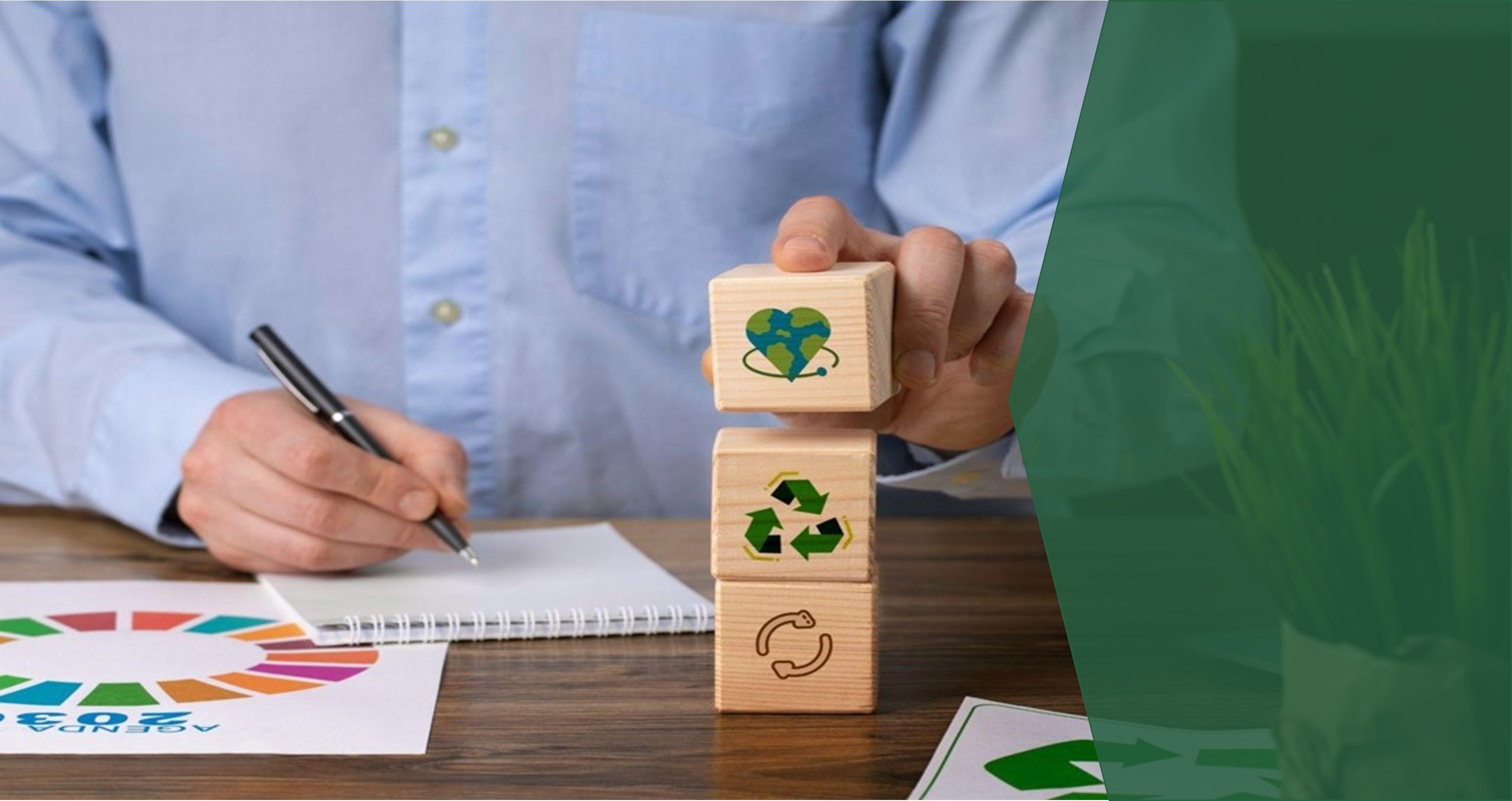 Reporte de Acciones Sustentables 2024