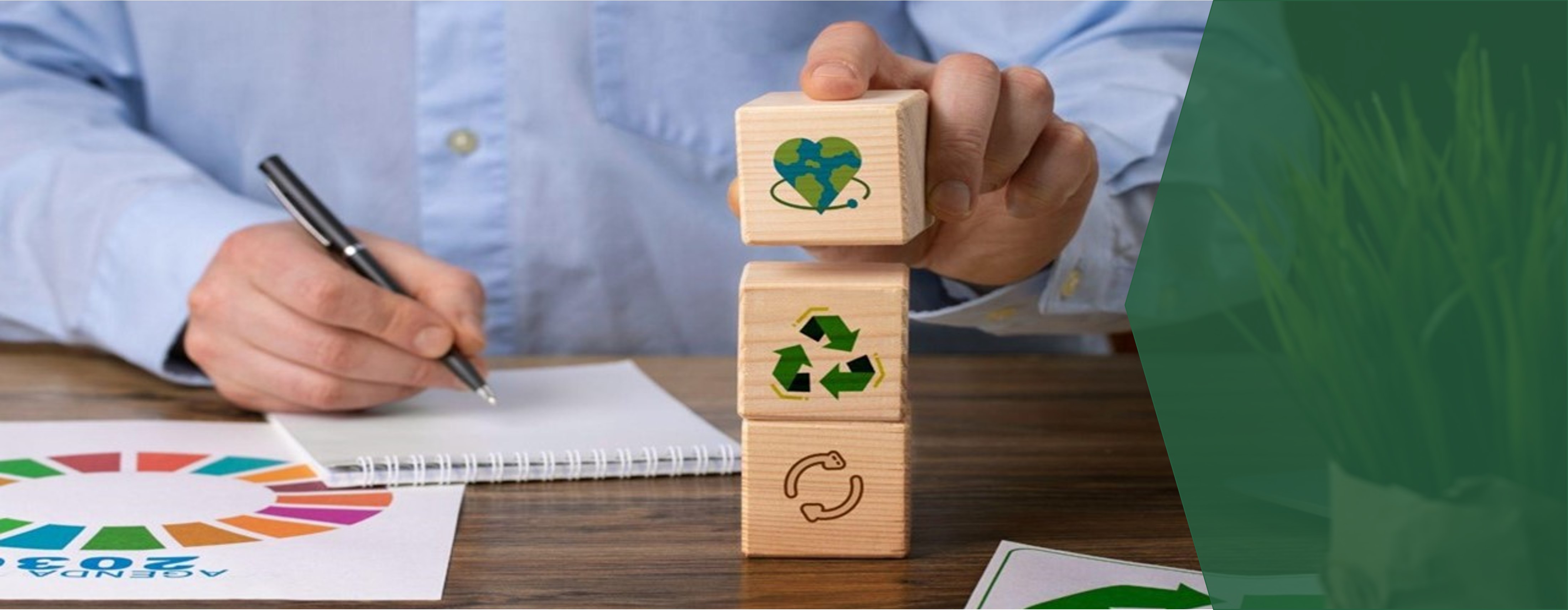 Reporte de Acciones Sustentables 2024